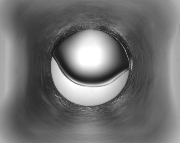 X0000086951492200704301207