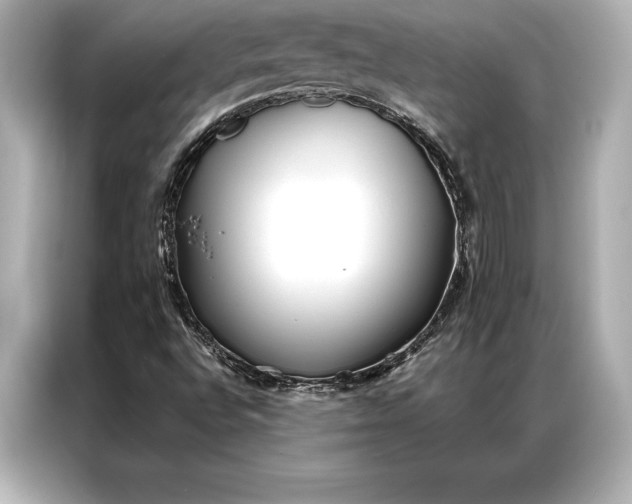 X0000086951496200704301207