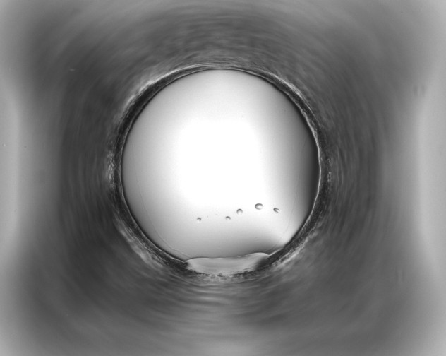 X0000086951499200704301207