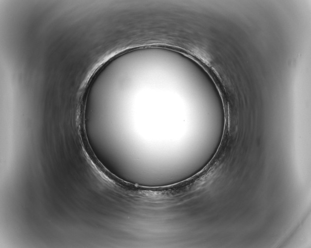 X0000086951500200704301207