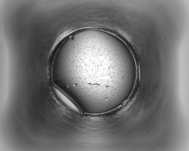 X0000086951501200704301207