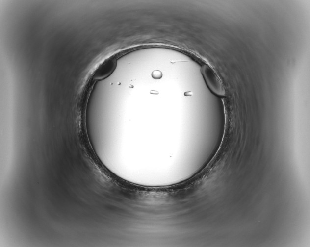 X0000086951503200704301207