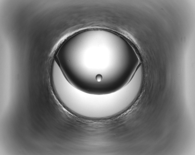 X0000086951504200704301207