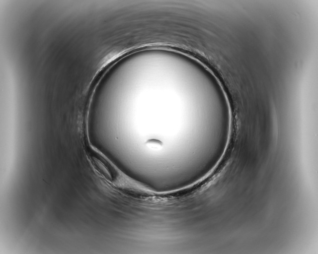 X0000086951505200704301207