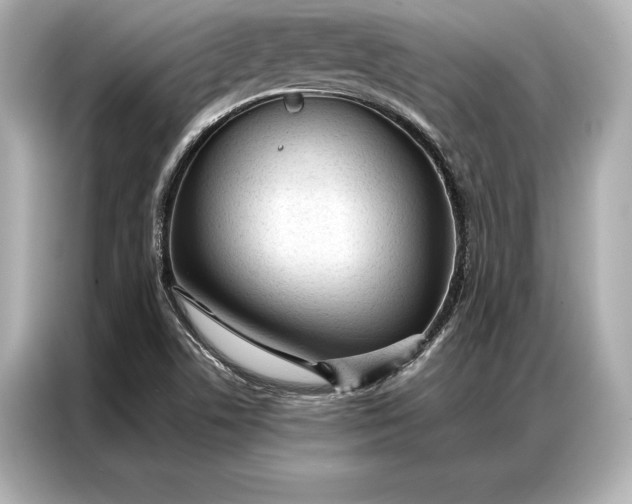 X0000086951506200704301207