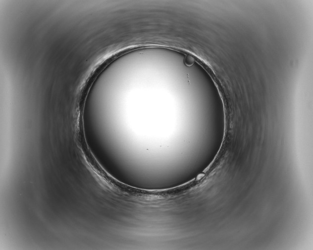 X0000086951507200704301207