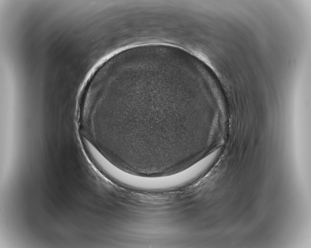 X0000086951508200704301207