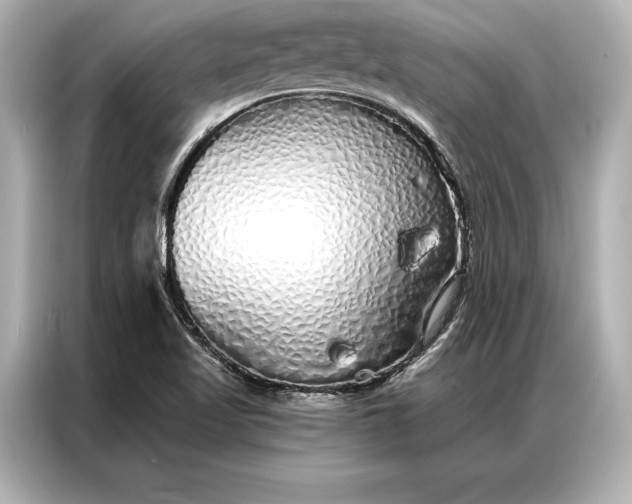 X0000086951509200704301207