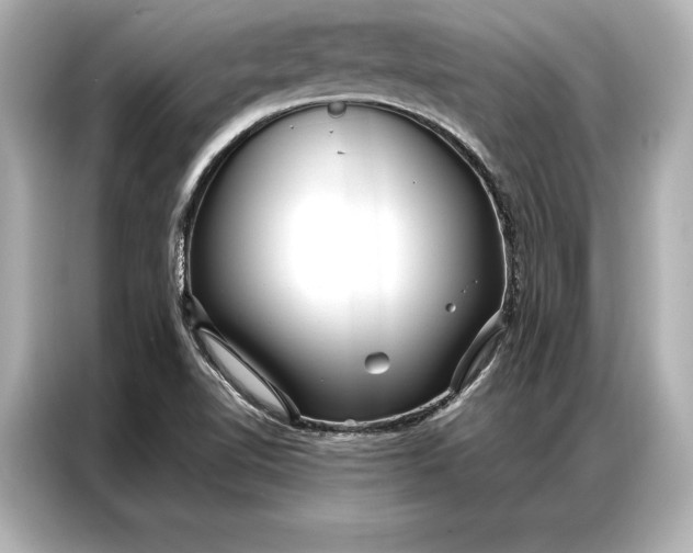 X0000086951510200704301207