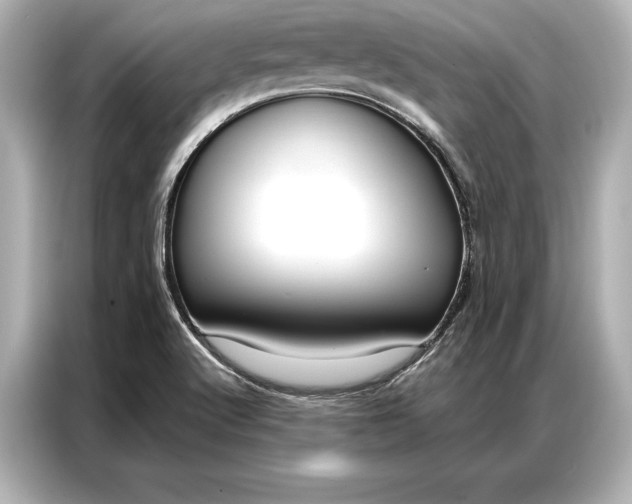 X0000086951512200704301207