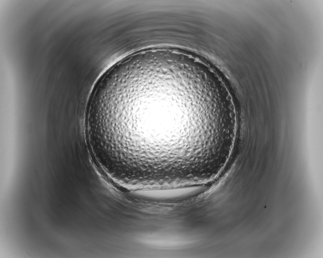 X0000086951513200704301207