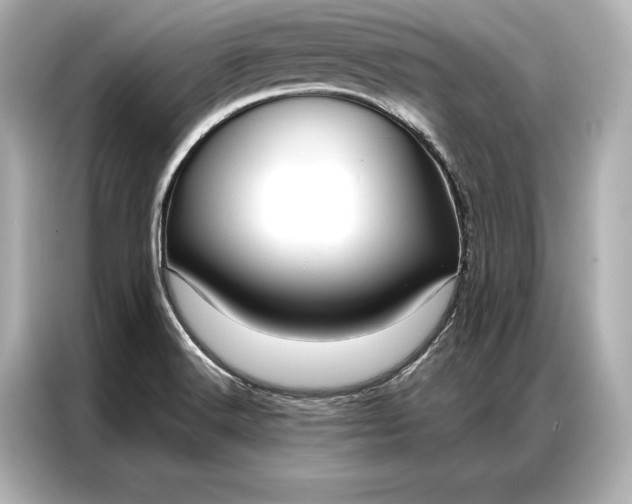 X0000086951516200704301207