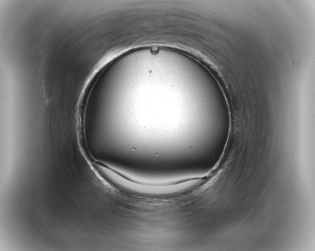 X0000086951517200704301207