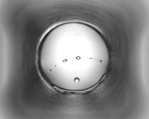 X0000086951518200704301207