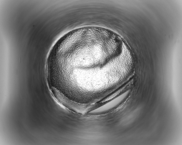 X0000086951519200704301207