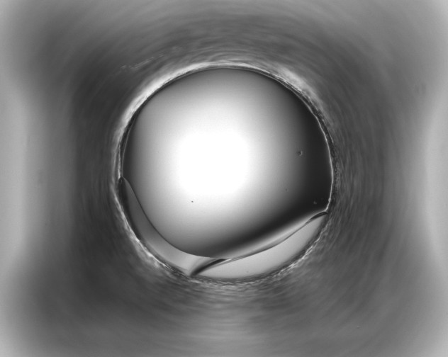 X0000086951520200704301207