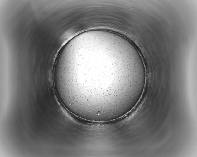 X0000086951521200704301207