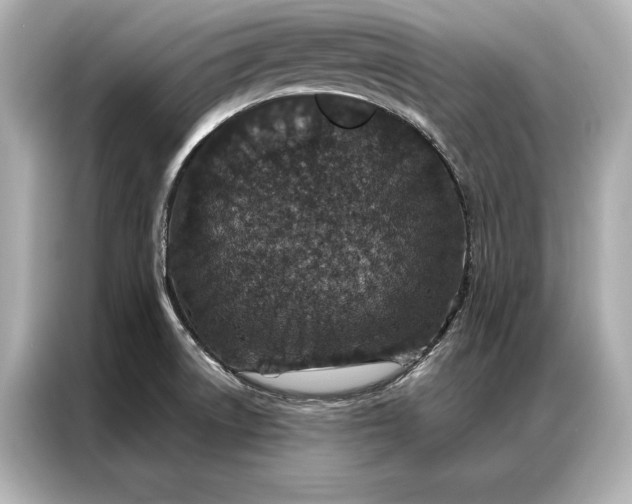 X0000086951522200704301207