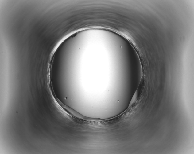 X0000086951524200704301207