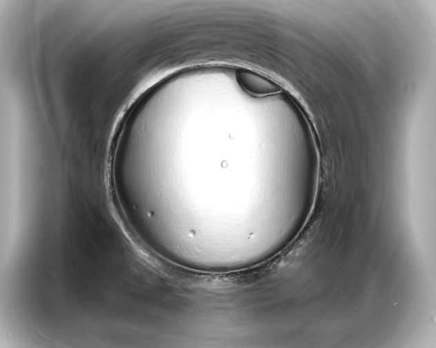 X0000086951525200704301207