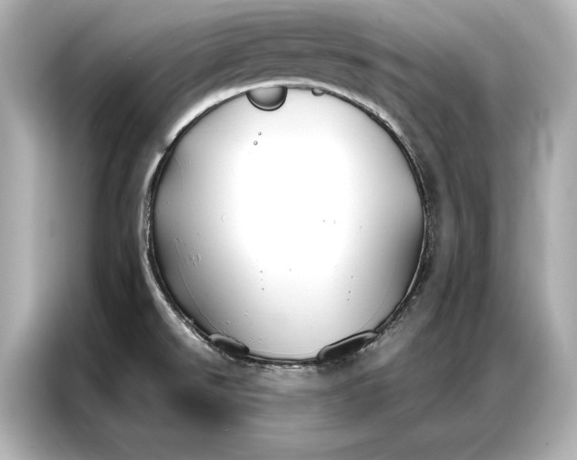 X0000086951526200704301207