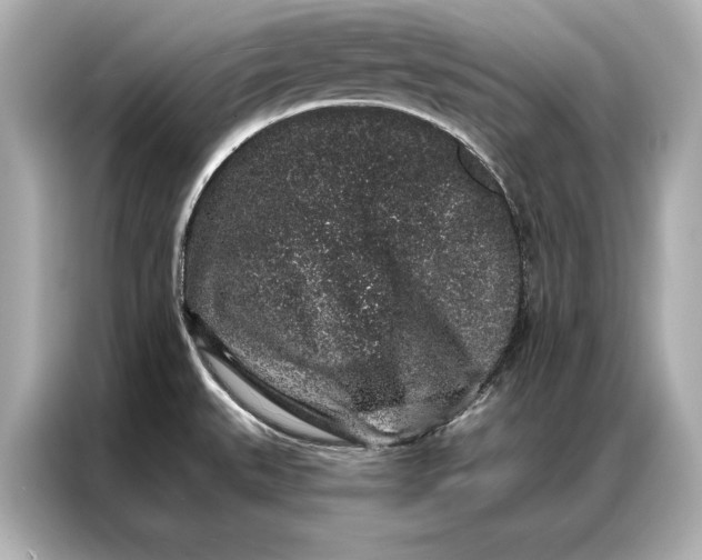 X0000086951527200704301207