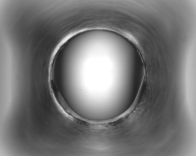 X0000086951528200704301207