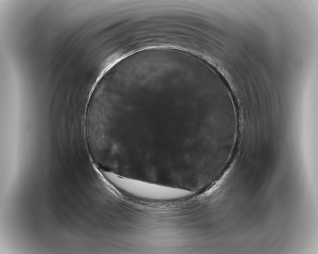 X0000086951529200704301207