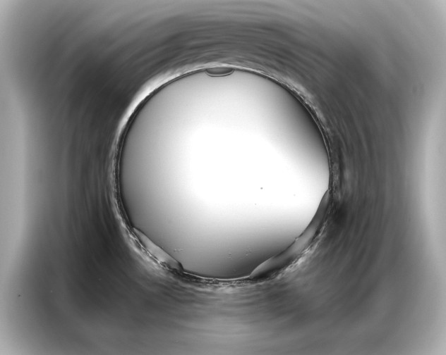 X0000086951530200704301207