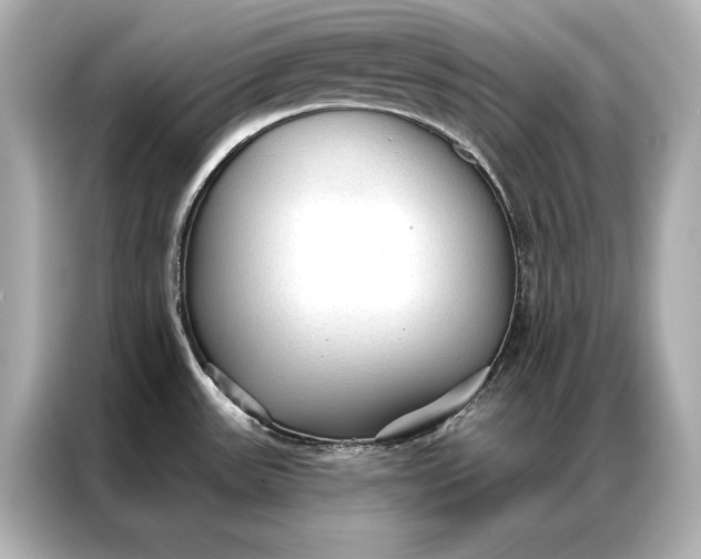 X0000086951531200704301207