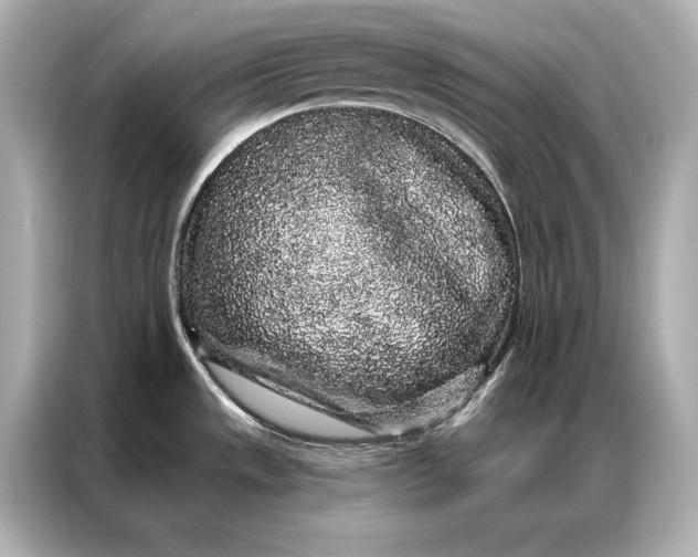 X0000086951533200704301207