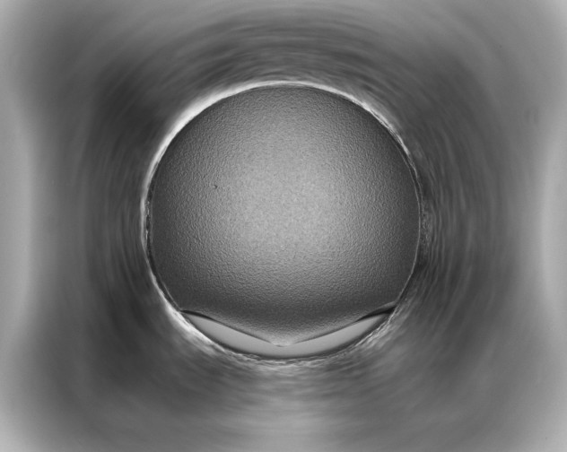 X0000086951535200704301207