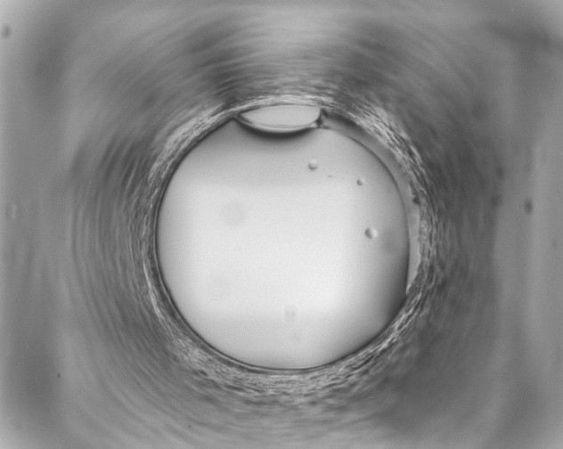 X0000086950001200705071455