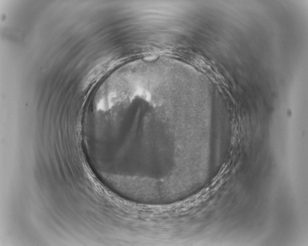 X0000086950002200705071455