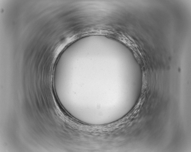 X0000086950003200705071455