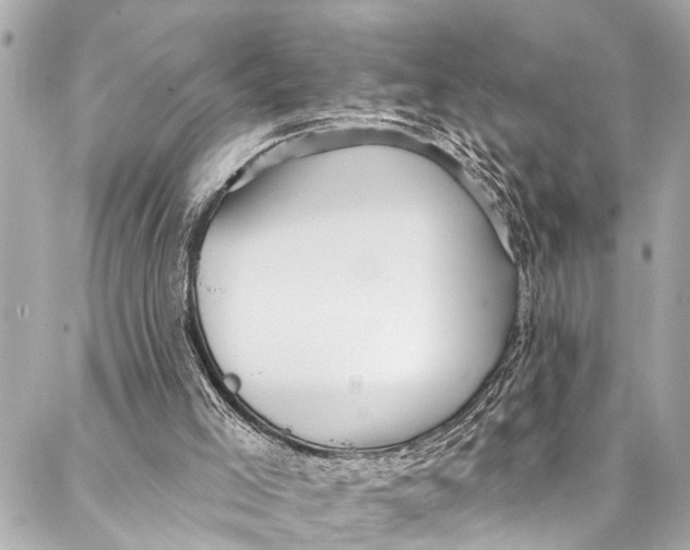 X0000086950005200705071455