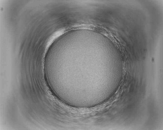 X0000086950006200705071455