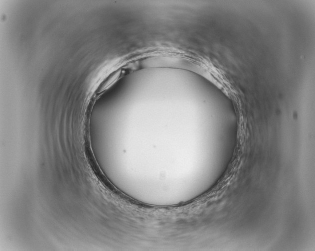 X0000086950007200705071455