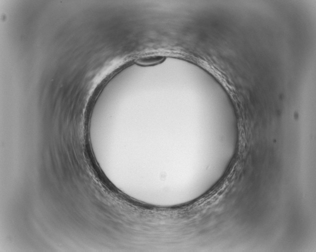 X0000086950008200705071454