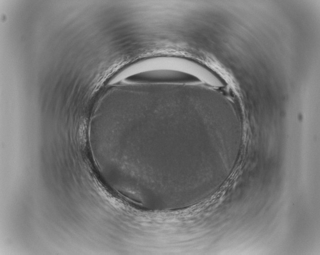 X0000086950009200705071454