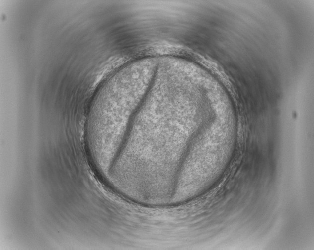 X0000086950010200705071454