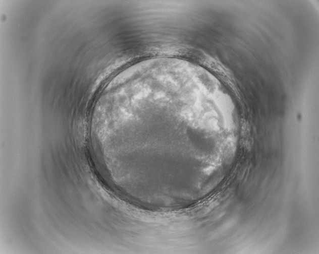 X0000086950012200705071454