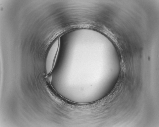 X0000086950013200705071454