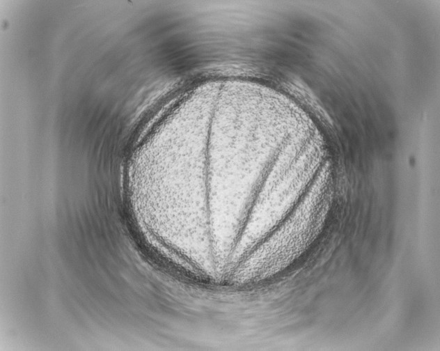 X0000086950014200705071454