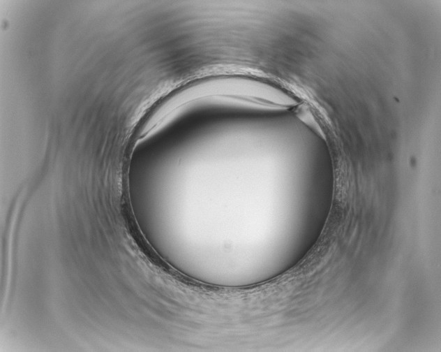 X0000086950015200705071454