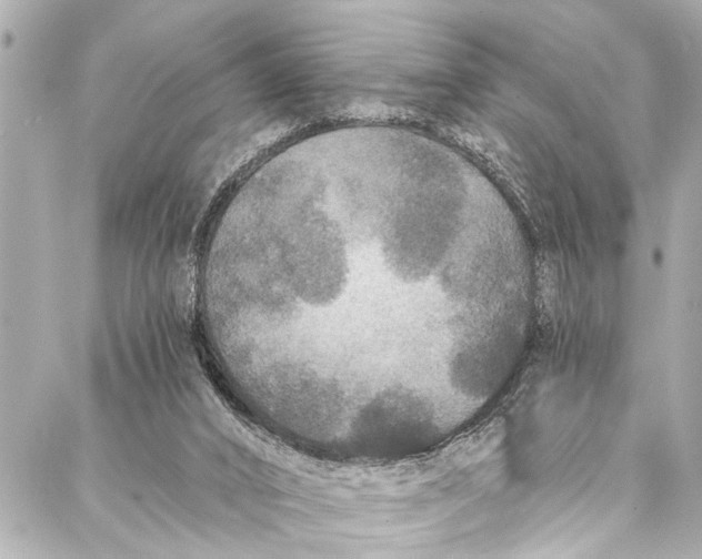 X0000086950016200705071454