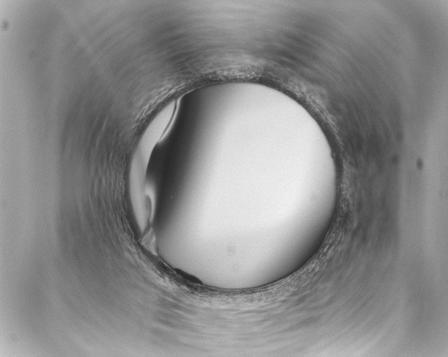 X0000086950017200705071454