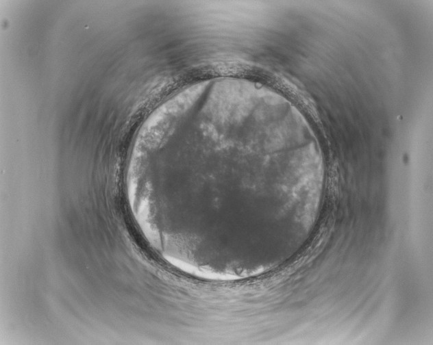 X0000086950018200705071454