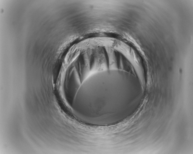 X0000086950019200705071454