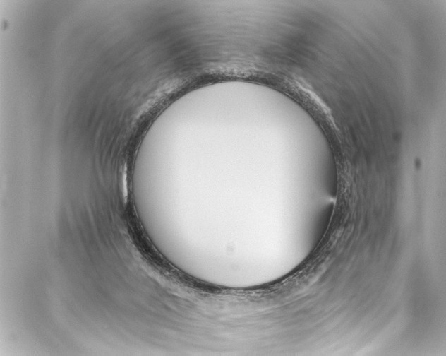 X0000086950020200705071454